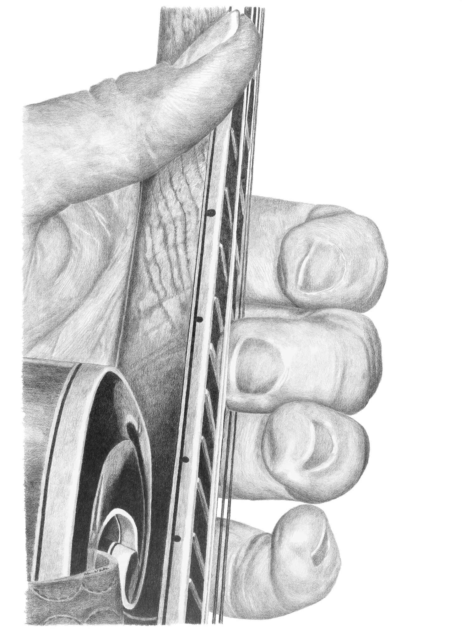 Musician's View