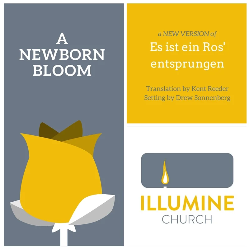 A Newborn Bloom - Lead Sheet