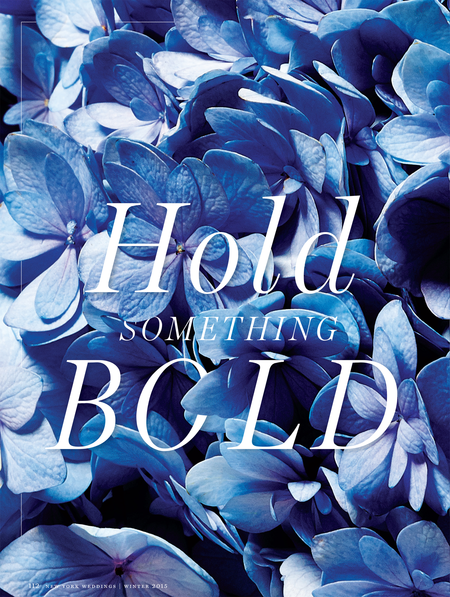 NY MAGAZINE Hold Something Bold Cover Page.jpg