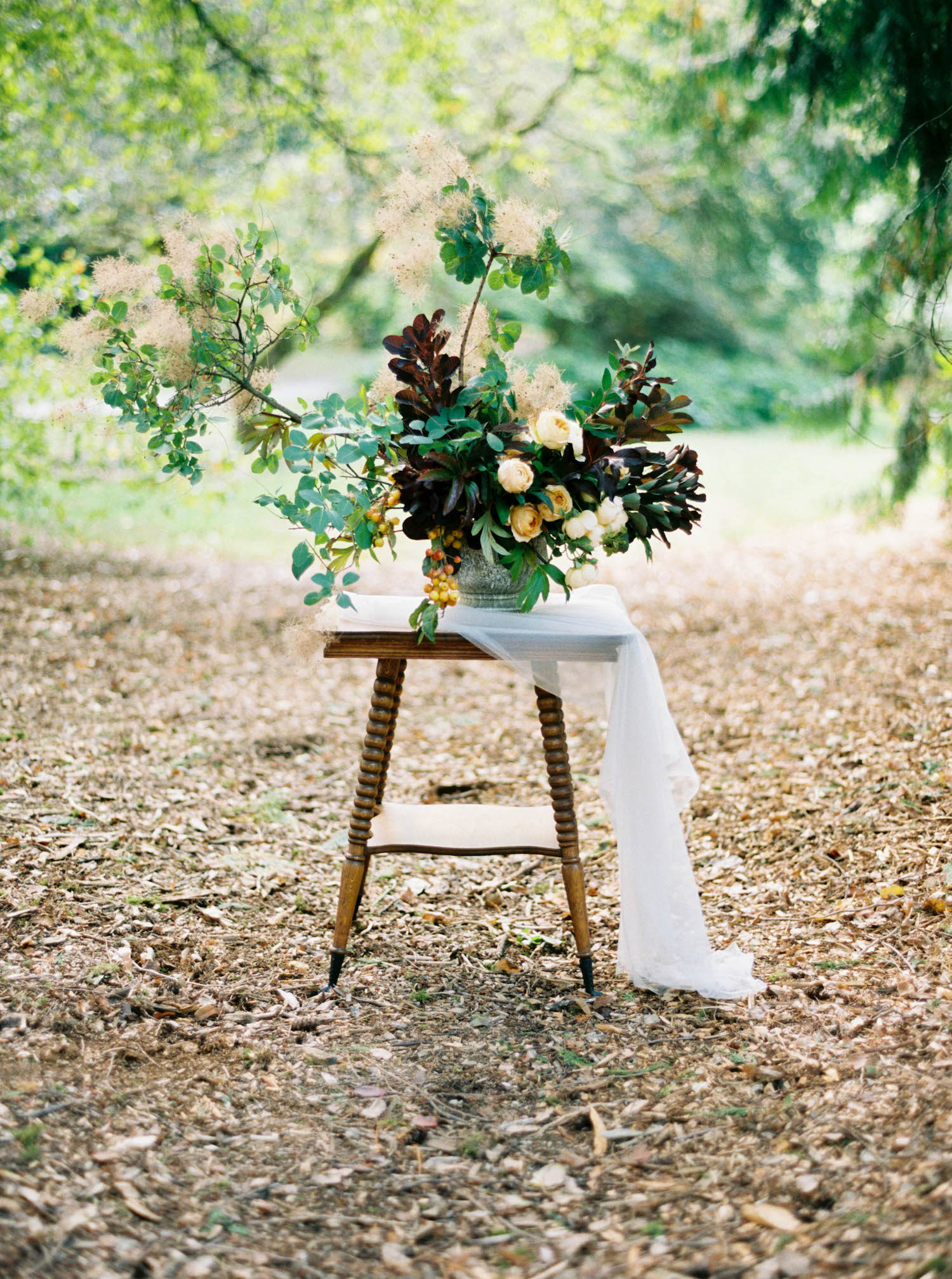 (C) Sarah Carpenter Photography