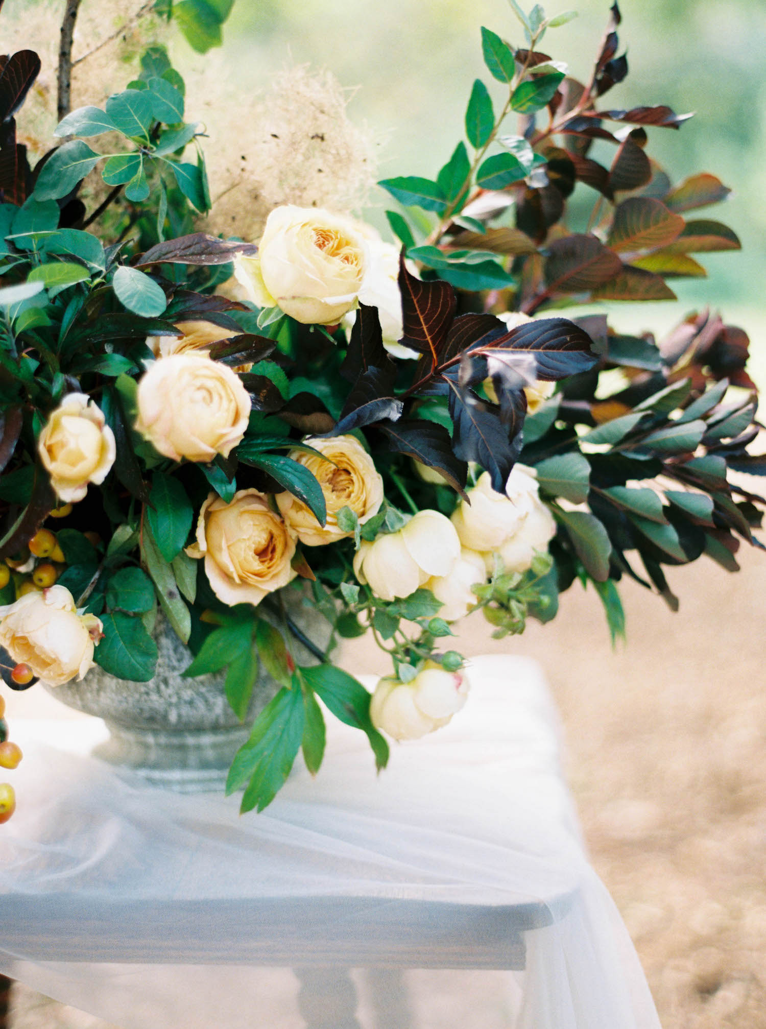 (C) Sarah Carpenter Photography