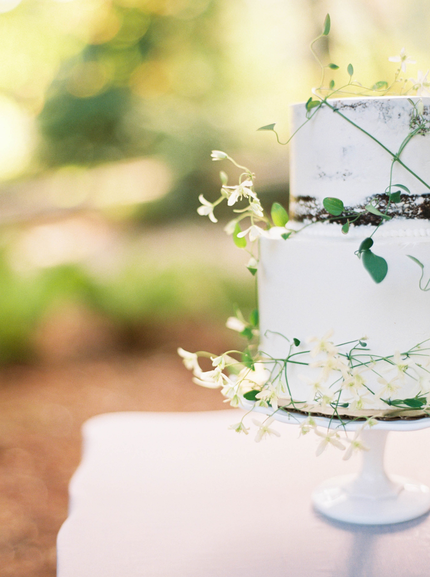 (C) Sarah Carpenter Photography