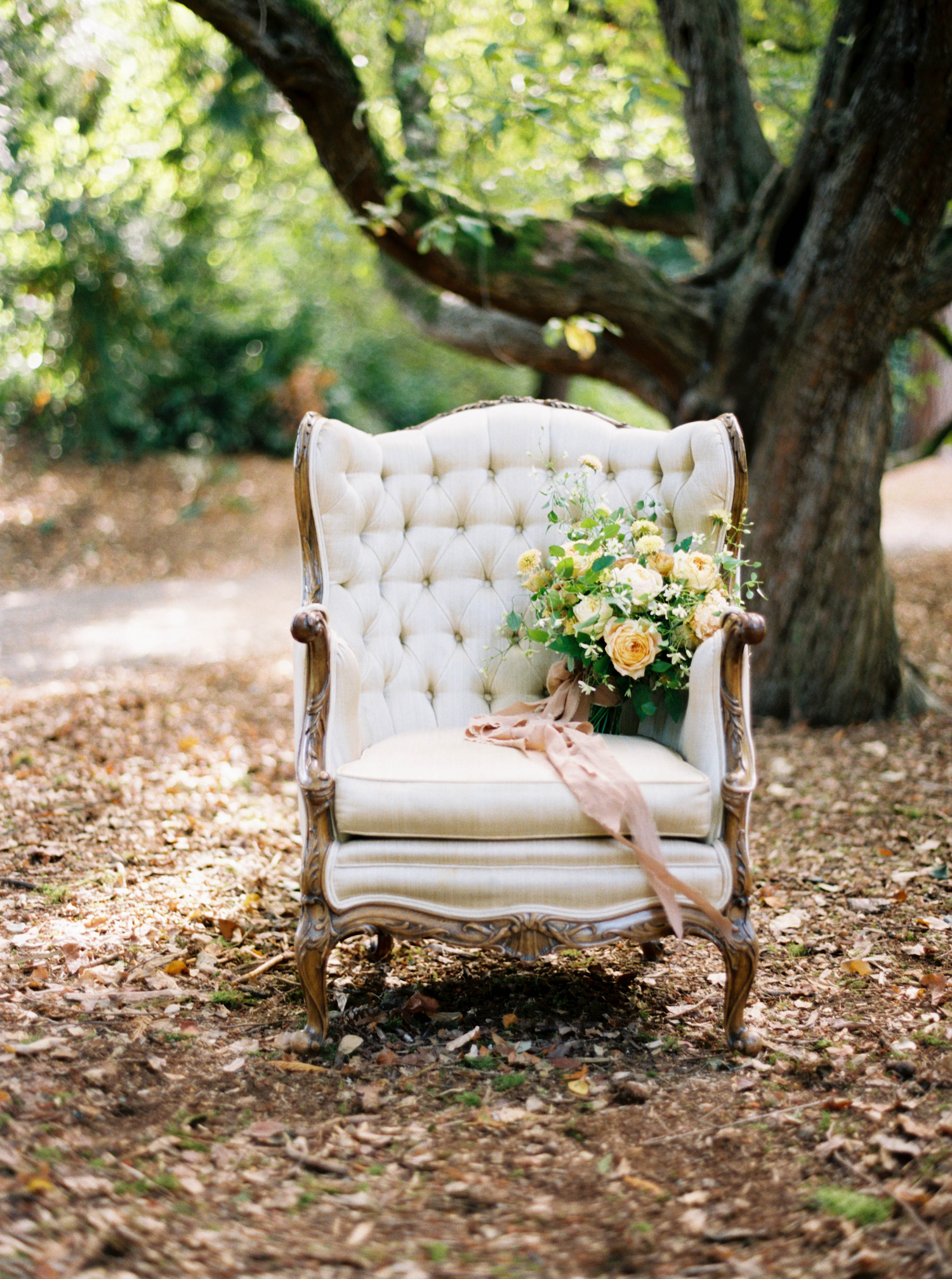 (C) Sarah Carpenter Photography