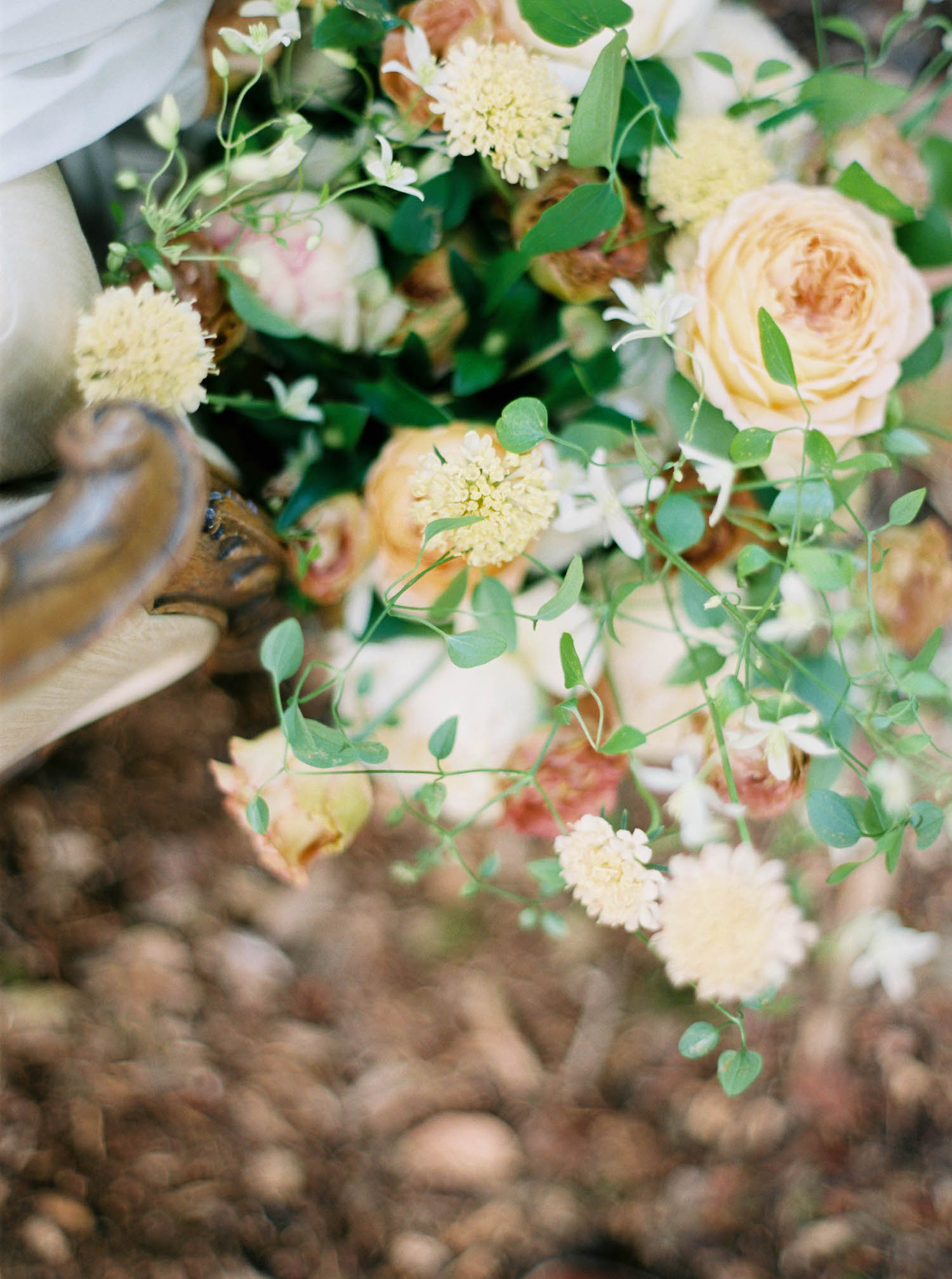 (C) Sarah Carpenter Photography