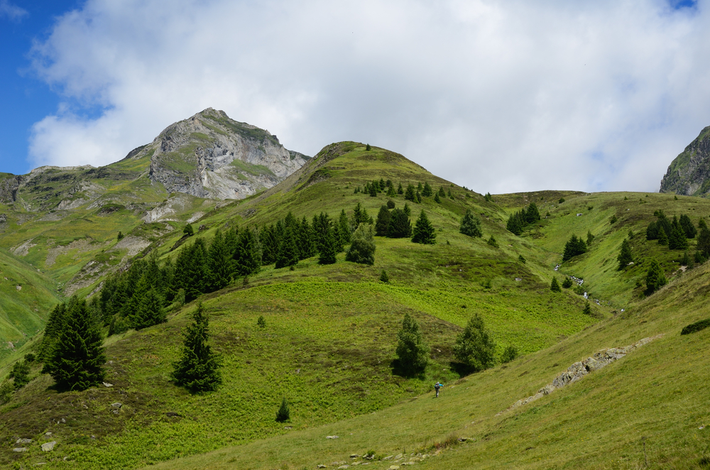 MODERATE SLOPE