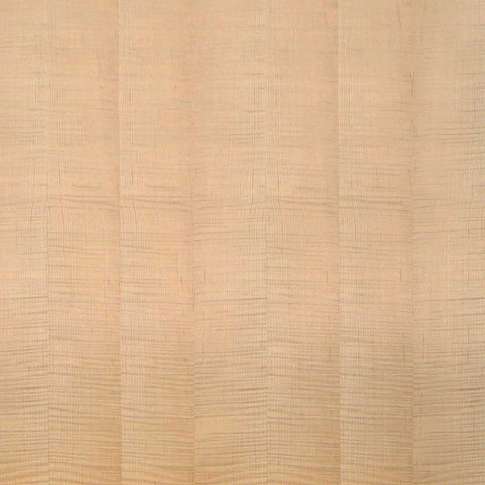 Maple Plywood + Veneer | Fiddleback