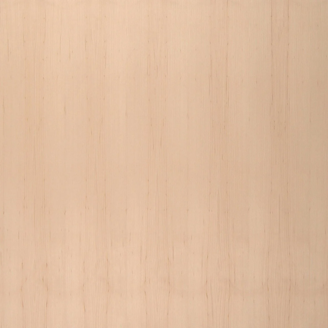 Maple Plywood + Veneer | Quartered