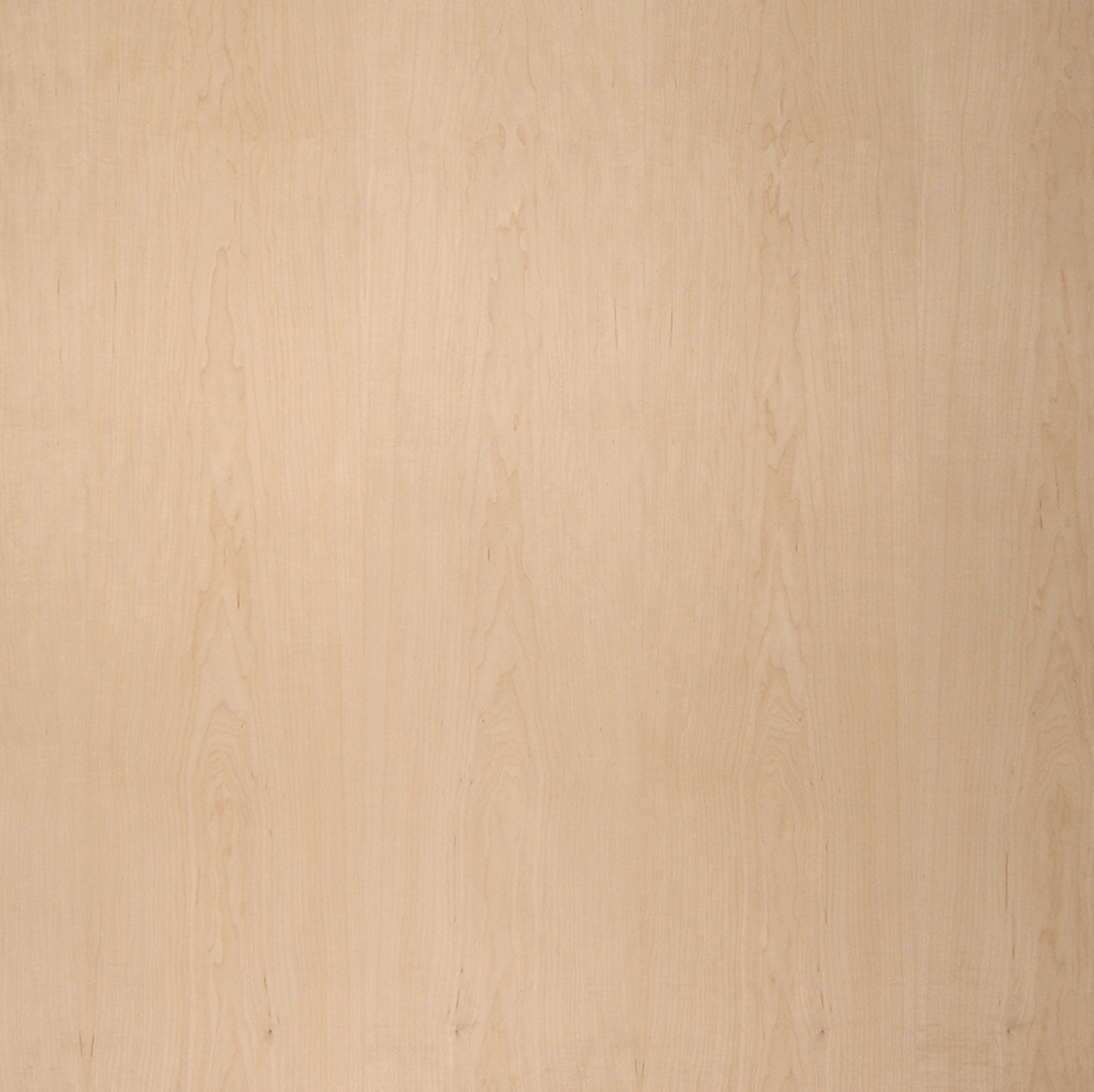 Maple Plywood + Veneer | Flat Cut