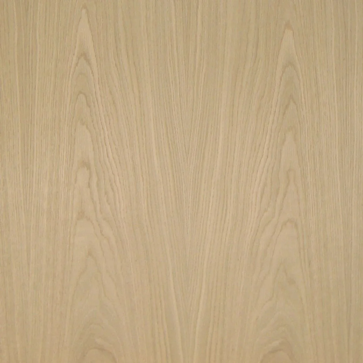 White Oak Plywood + Veneer | Flat Cut
