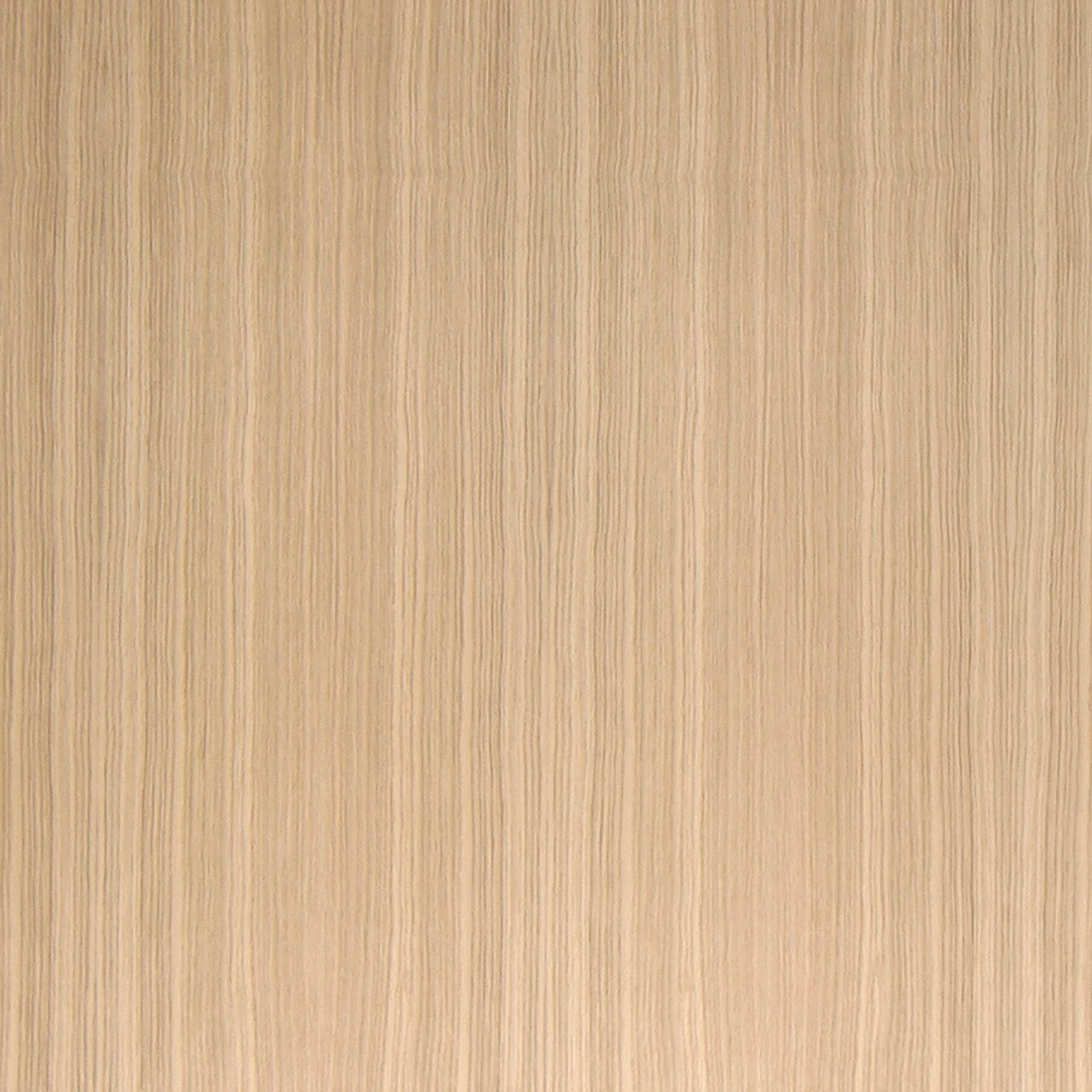 White Oak Plywood + Veneer | Rift