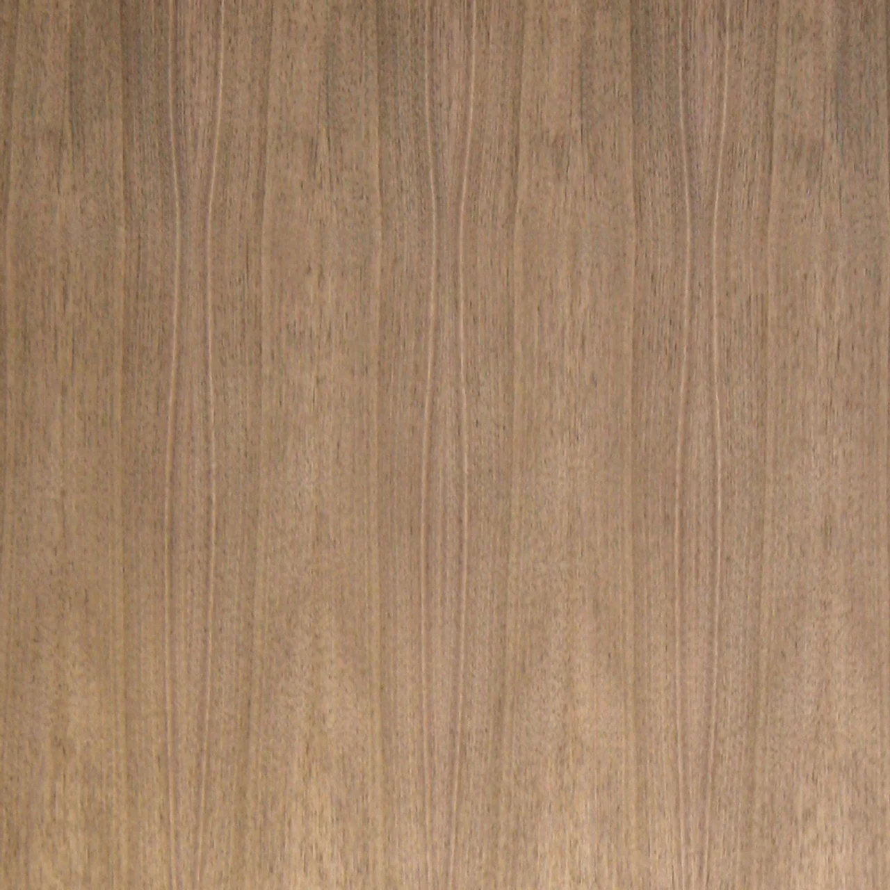 Walnut Plywood + Veneer | Quartered