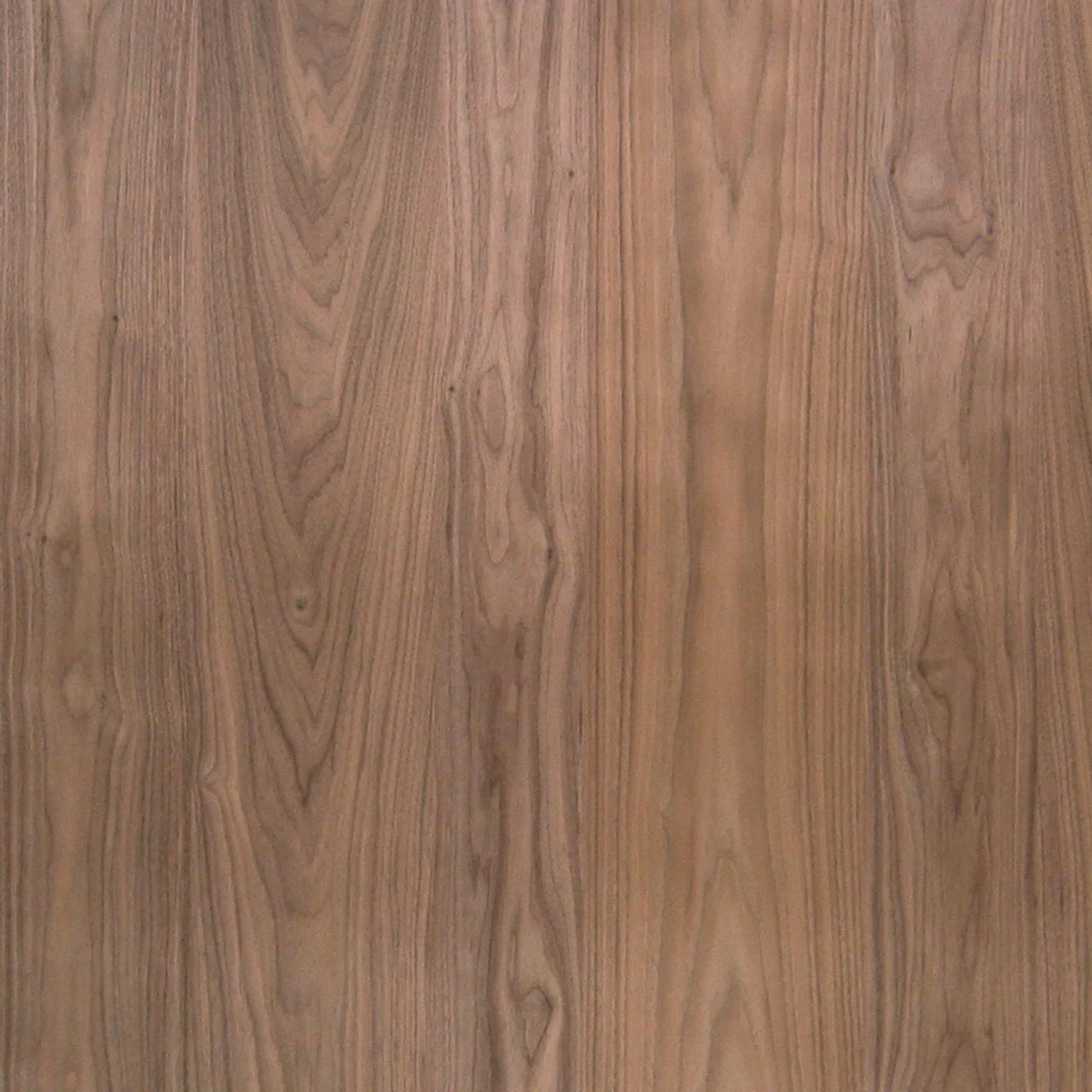 Walnut Plywood + Veneer | Planked - No Sap