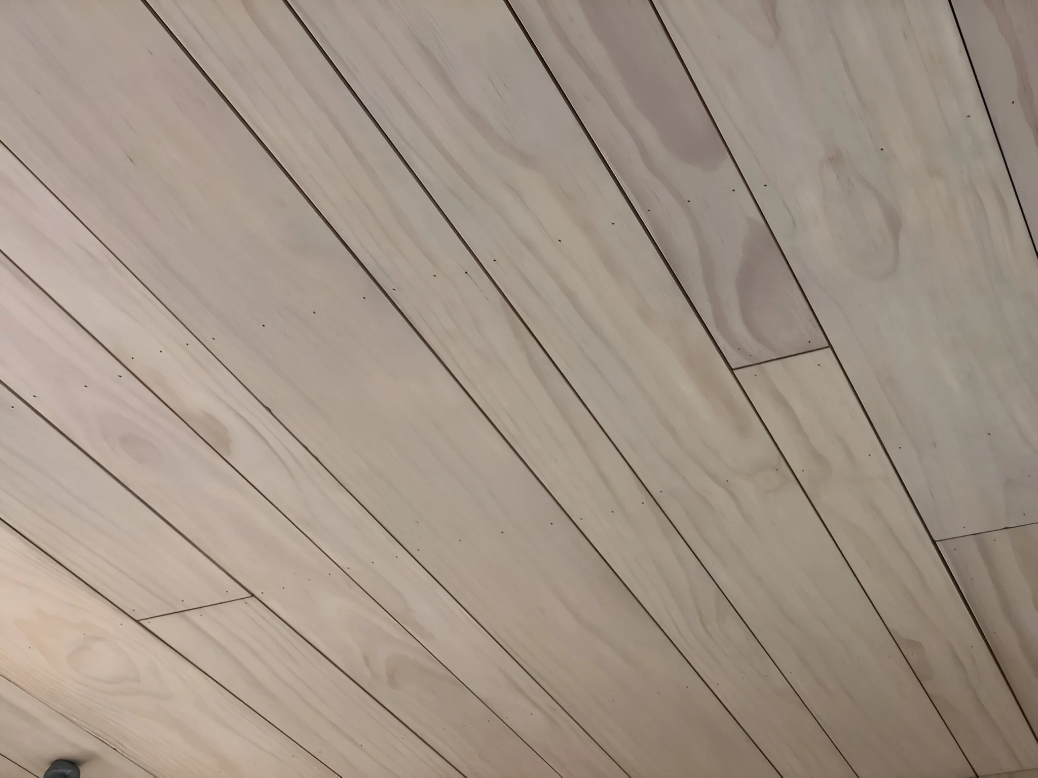 32C5D7ED-41BC-44AB-897E-097B82F085E4_1_105_c copy.jpg