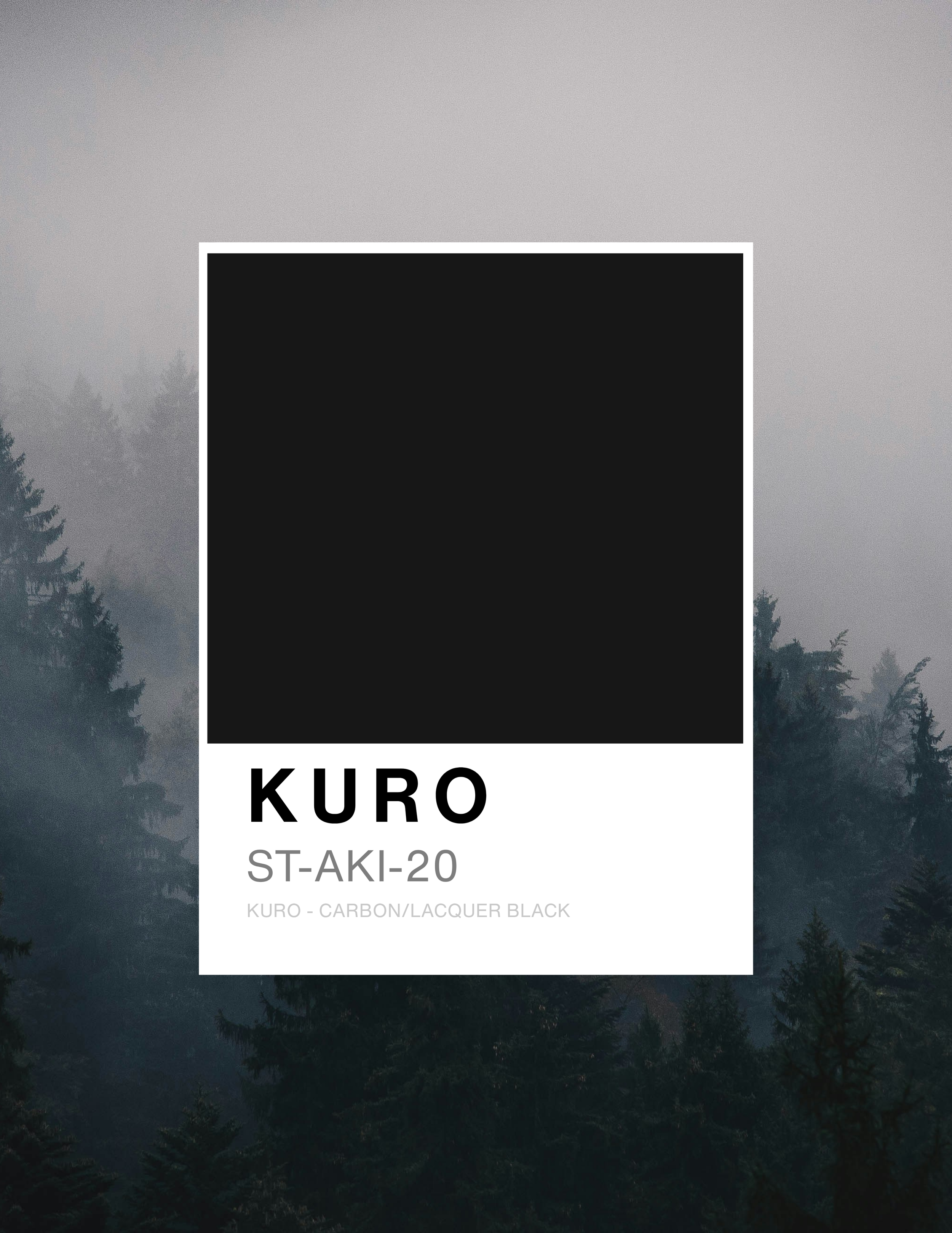 AKIRA COLOR COLECTION _ KURO - ST-AKI-020.png