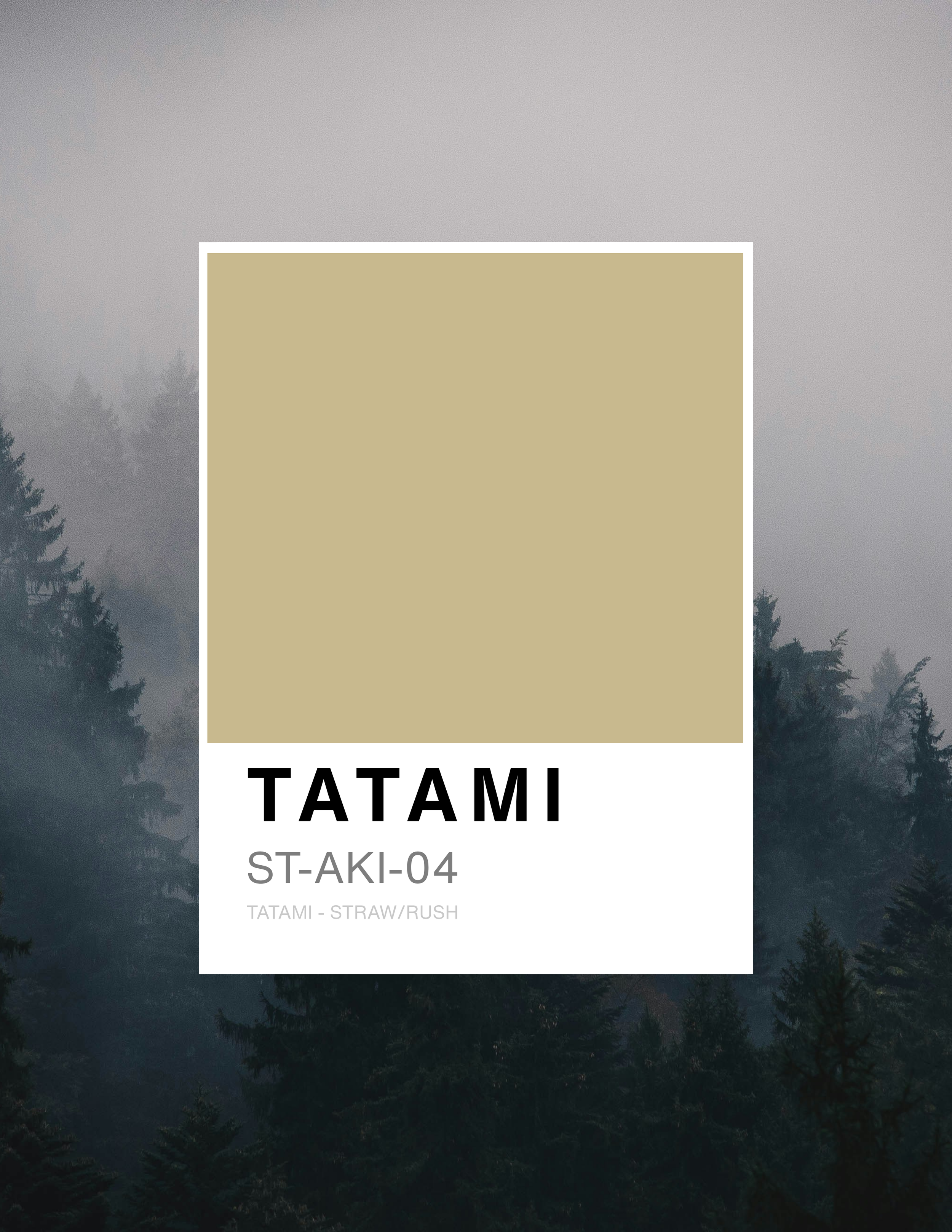 AKIRA COLOR COLECTION _ TATAMI - ST-AKI-004.png