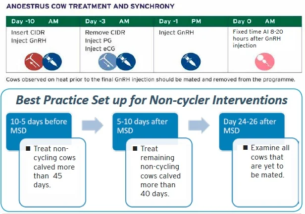CIDR Program 2018 — The Veterinary Centre