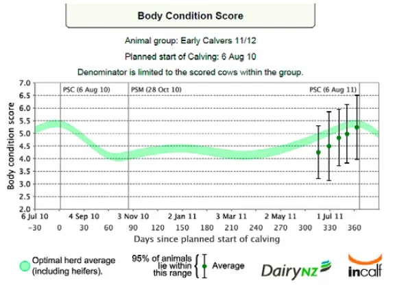 Mooznews case study.jpg