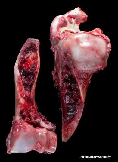 Mooz News case studyt.jpg