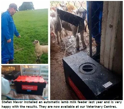 Ewesnews case stuyd.jpg