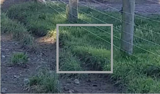 Mooz news case study.jpg