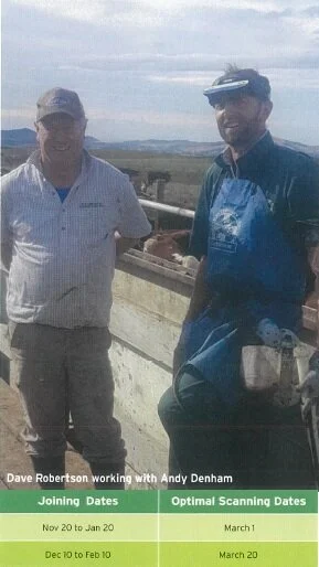 Ewes news case study.jpg