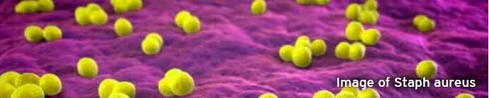 Mooz news case study.jpg