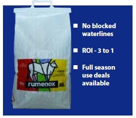 Mooznews case study.jpg