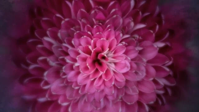 Moments to Gaze (Copy)