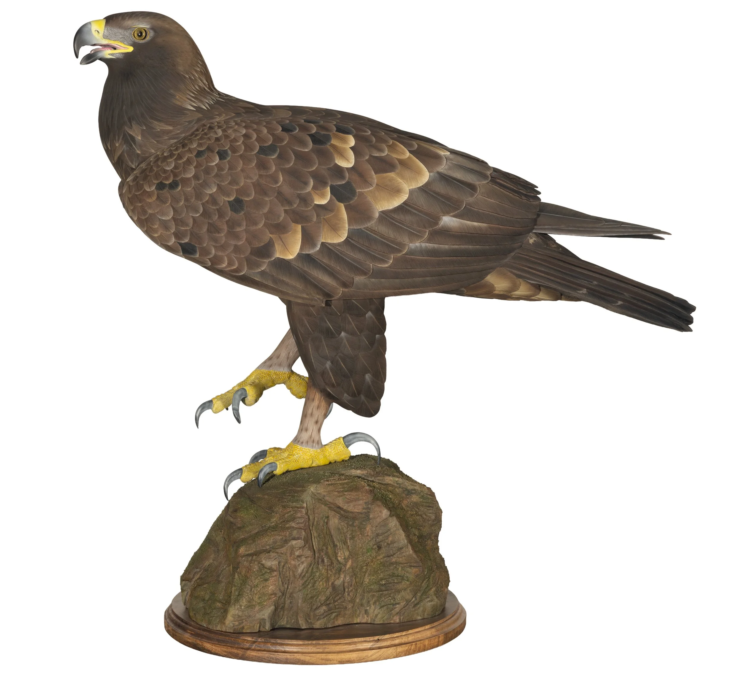 RAMIREZ, ARTURO.jpg