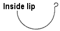 in_lip.gif