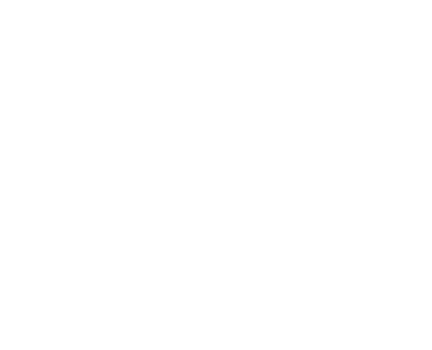 STEELCO Gutter Screen