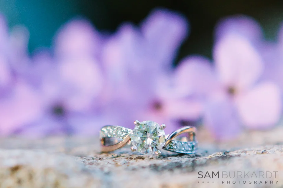 samburkardt_engagement_mustang_new_jersey_connecticut_arboretum_0011