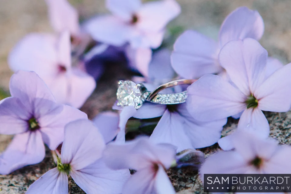samburkardt_engagement_mustang_new_jersey_connecticut_arboretum_0012