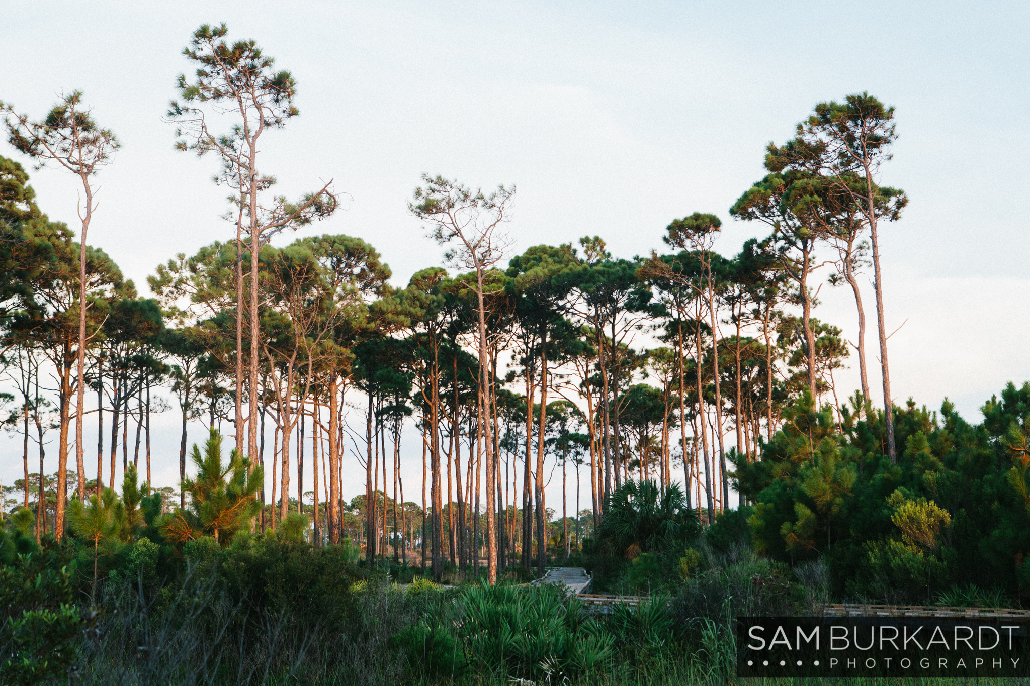 samburkardt_engagement_vacation_beach_cape_san_blas_florida_camping_gopro_0031.jpg