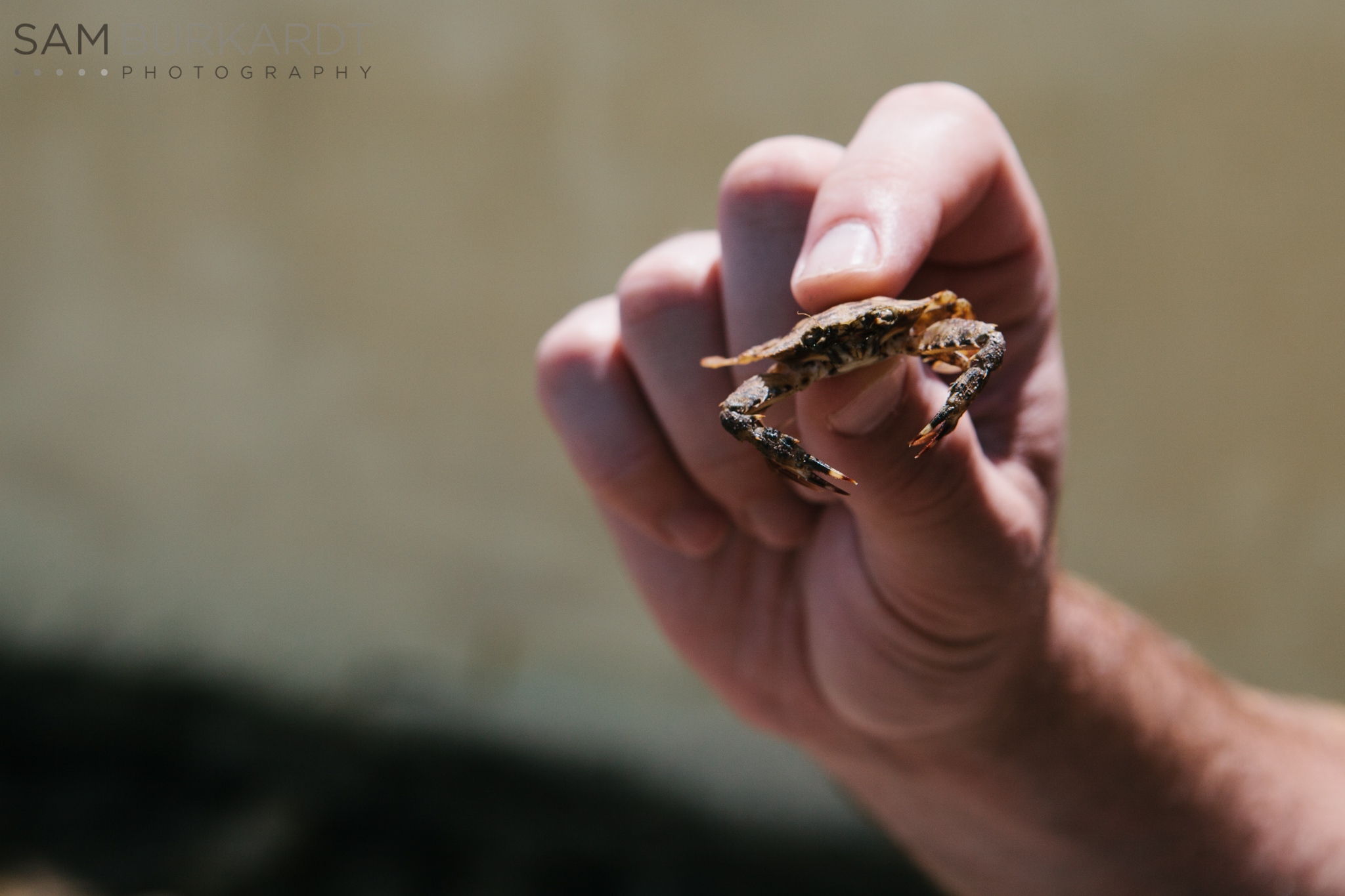 samburkardt_key_west_wedding_marathon_florida_summer_beach_ocean_front_0020.jpg