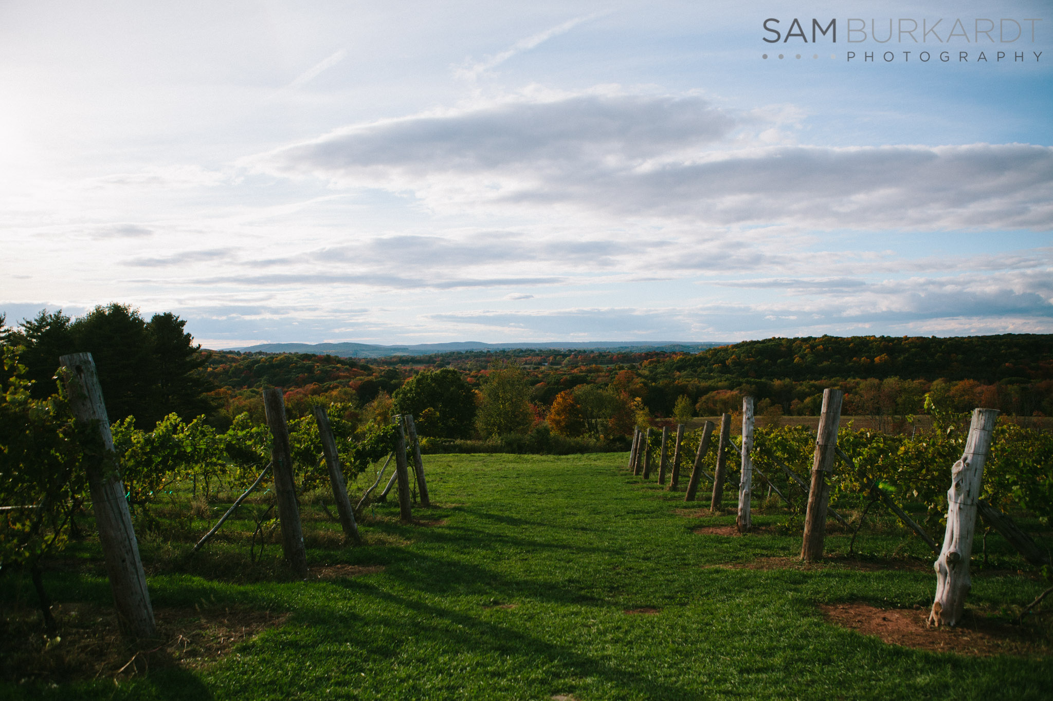 samburkardt-fall-engagement-connecticut-vineyard-nature-wine_0010.jpg