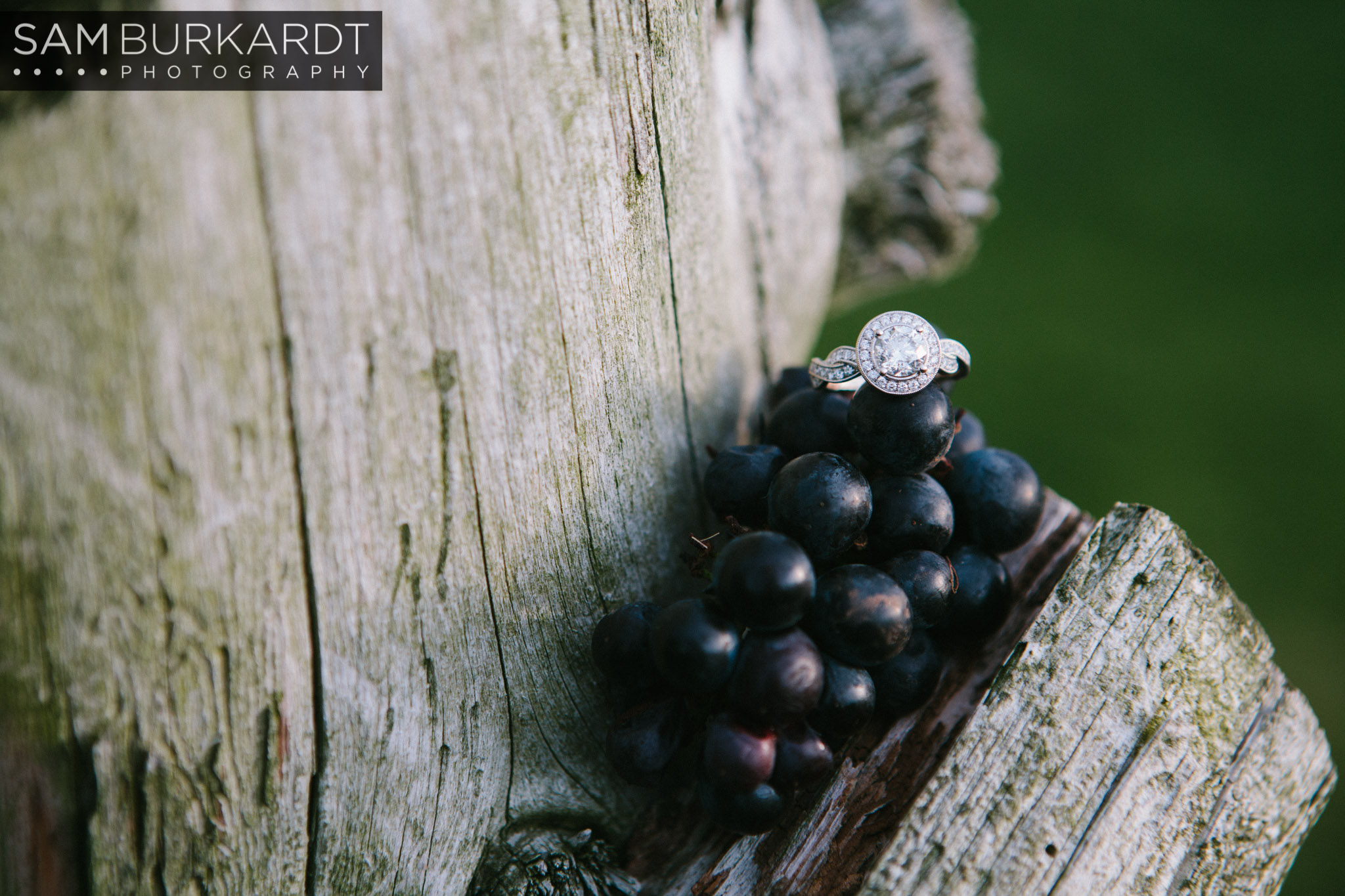 samburkardt-fall-engagement-connecticut-vineyard-nature-wine_0015.jpg