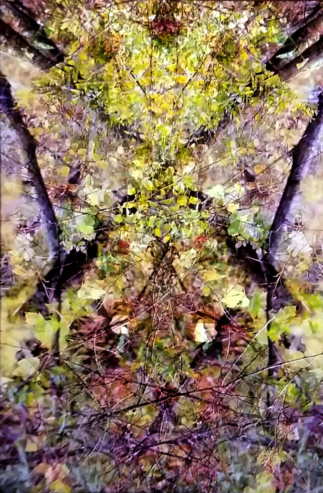 © 2015 Diane Ronayne, Angry Rabbit