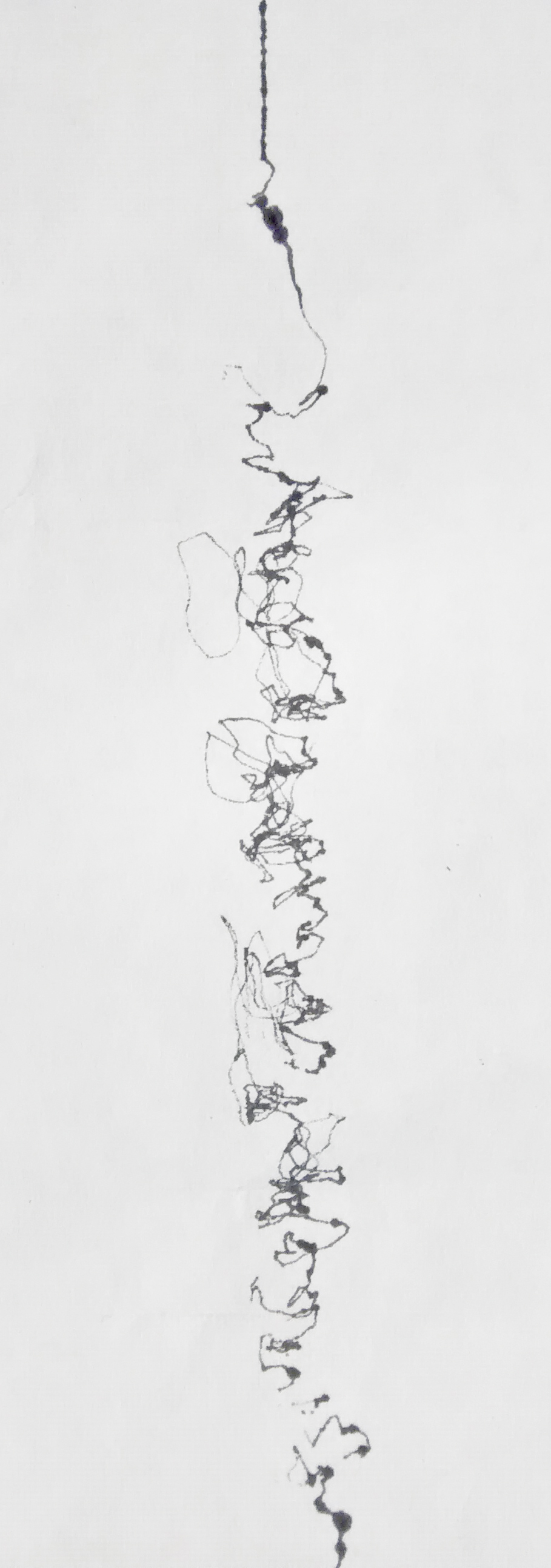 © 2004-2006 James G. Jenkins, Drawing the Line(Somewhere), detail of drawing 