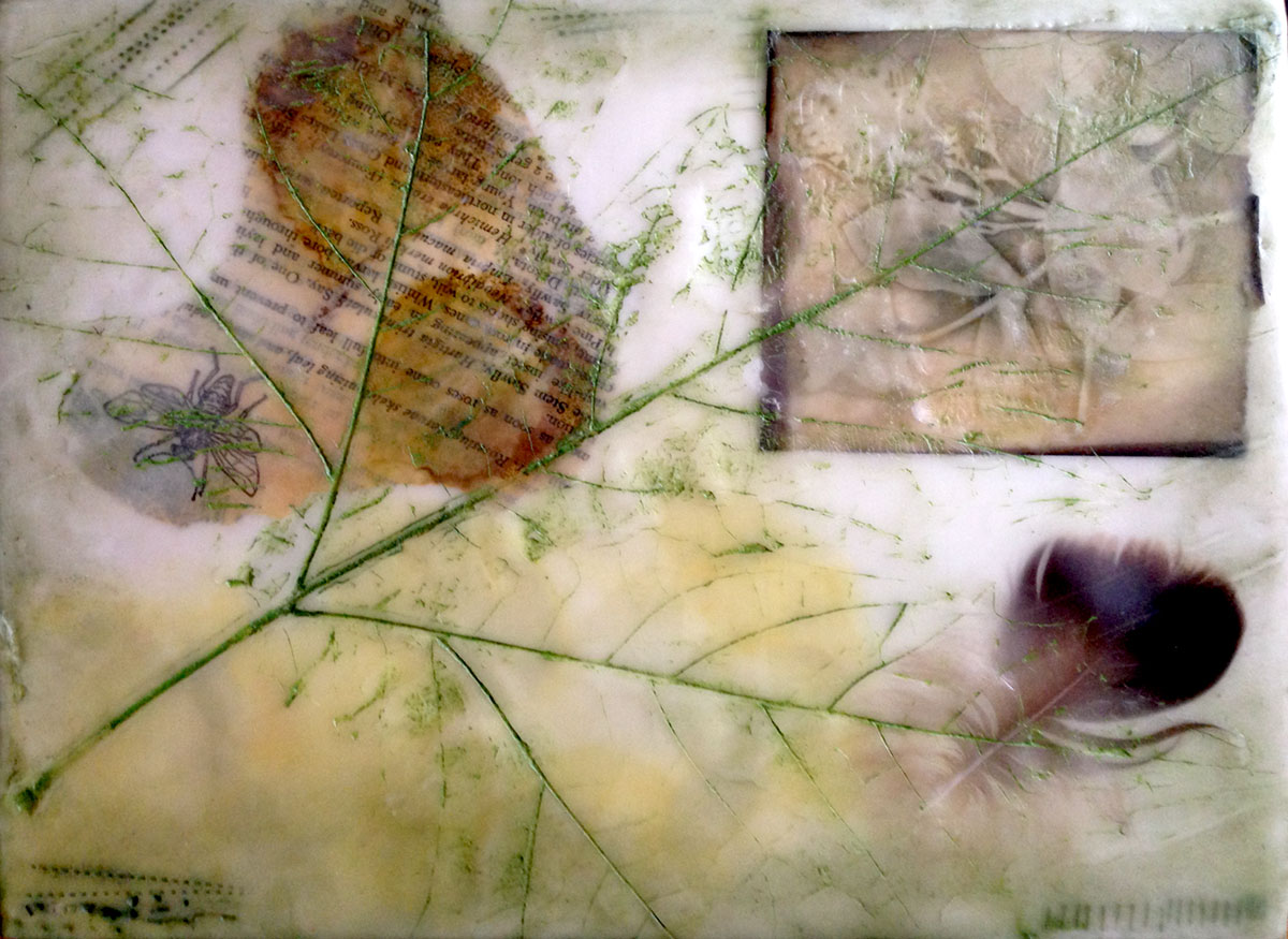 © 2015 Dana Ryan Perez