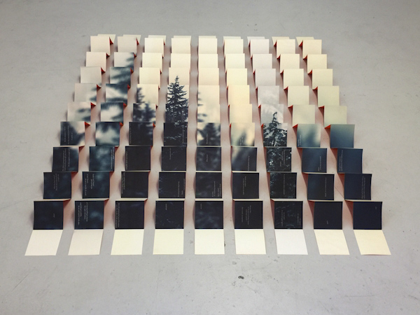 © 2015 Nicole Pietrantoni, Havened