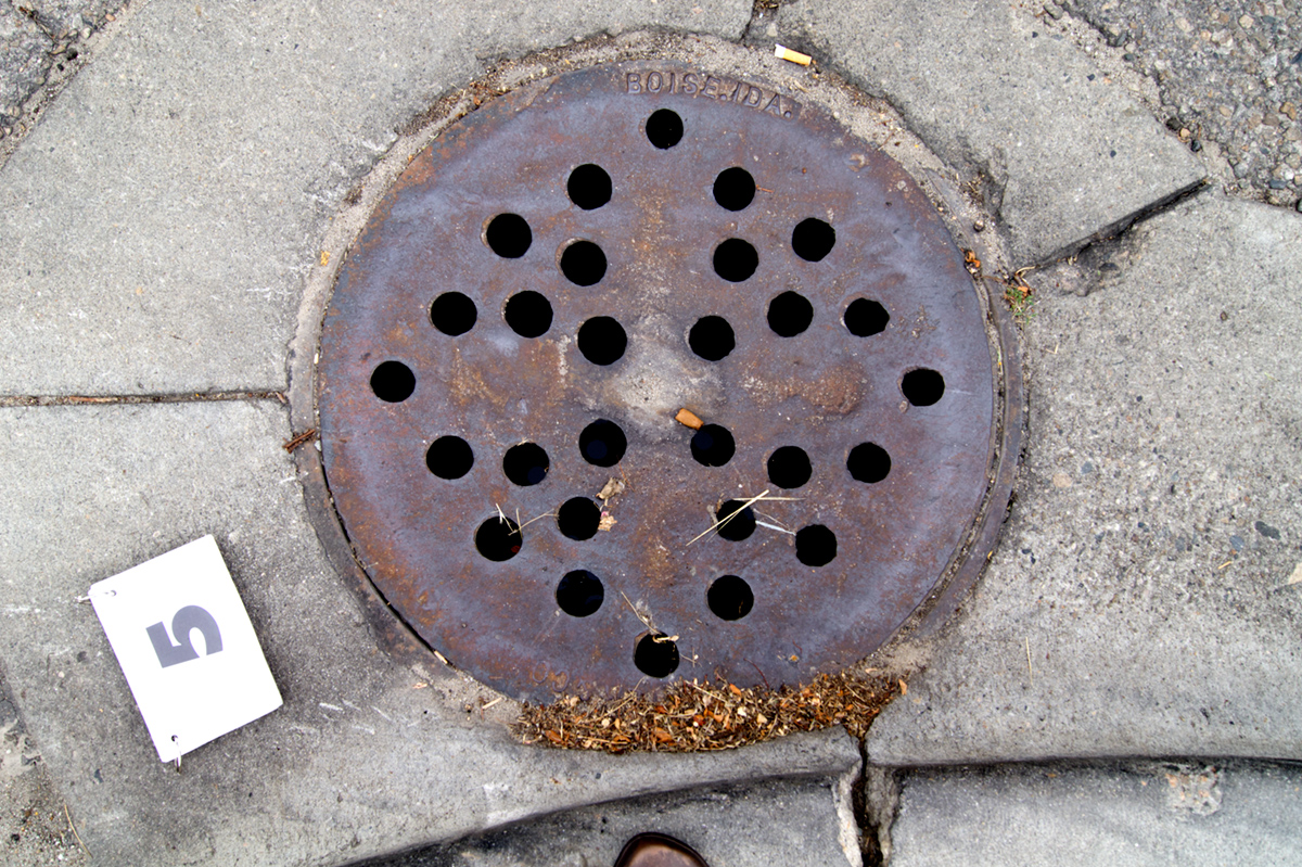 © 2016 Louise Levergneux, manhole cover at N McKinley Ave & E Main St, Emmett