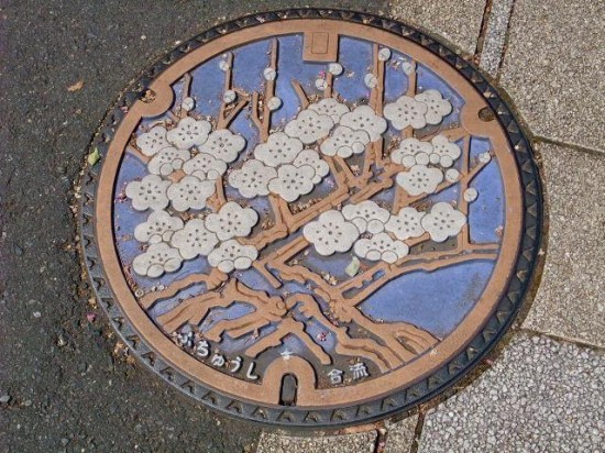 Remo Camerota, Cherry Blossoms by Tokyo Five