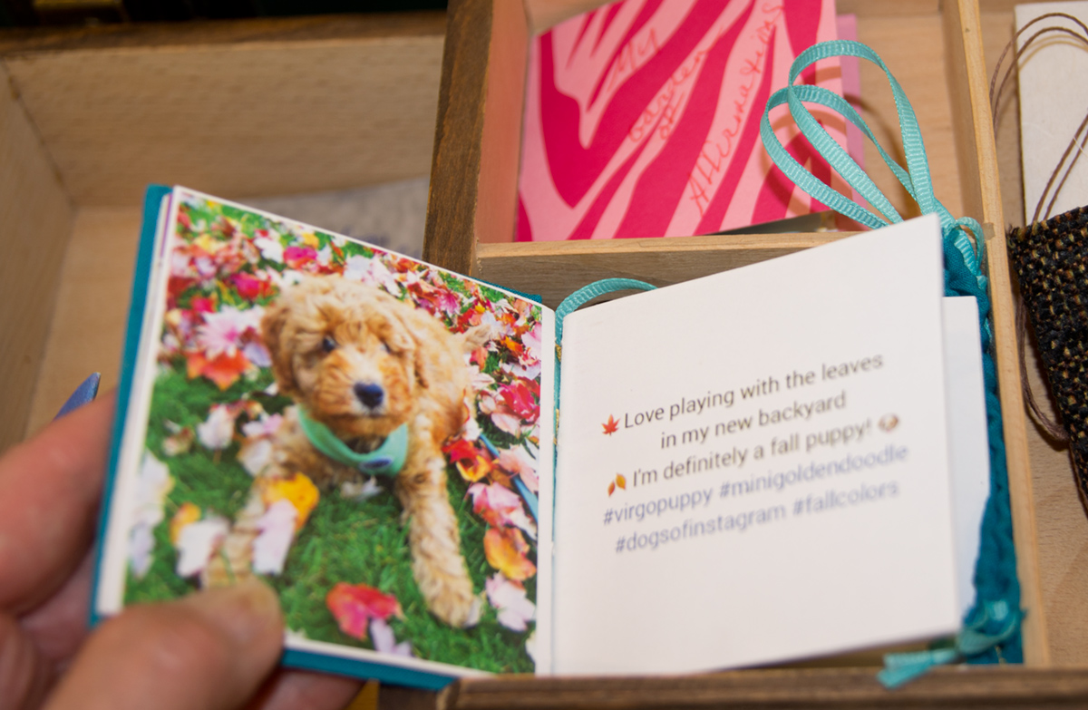 © 2016 Louise Levergneux, This is a Goldendoodle story!