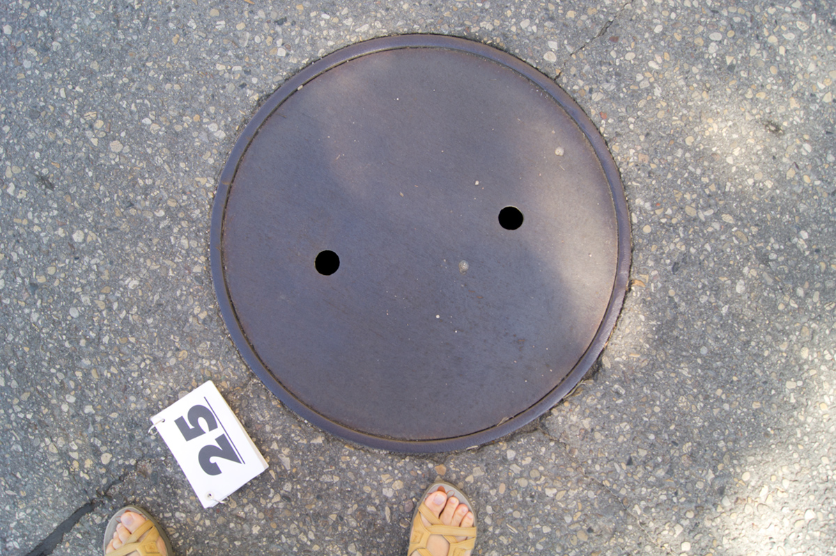 © 2016 Louise Levergneux, Manitoba manhole cover