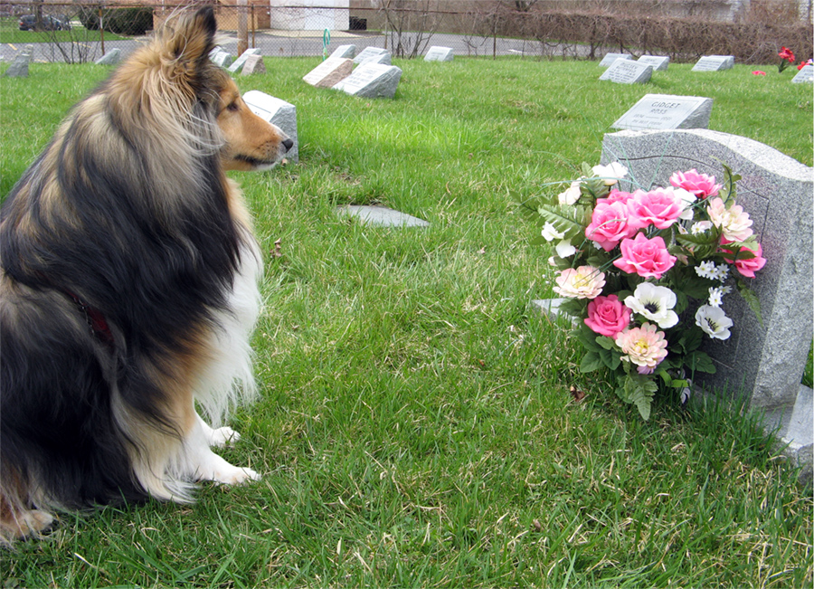 © 2006 Louise Levergneux, Topaz participated in the artists' book Ambivalence , a photographic documentation of Ohio cemeteries provoking a feeling of ambivalence in the viewer