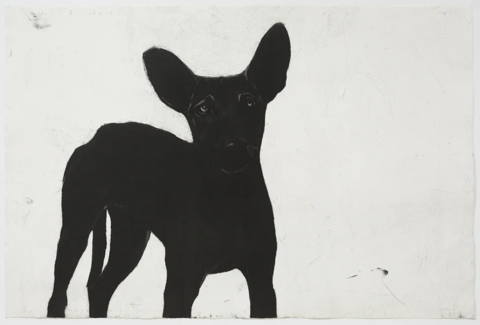 2016 © Deborah Williams, Almost human? Exactly dog 2014, etching, engraving, aquatint and roulette intaglio, 58.5 x 87.5 cm, edition 20