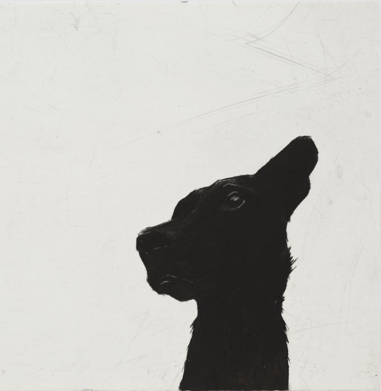 © 2016, Deborah Williams, The seeing other, etching and roulette intaglio, 50.5 x 57.5 cm, edition of 20