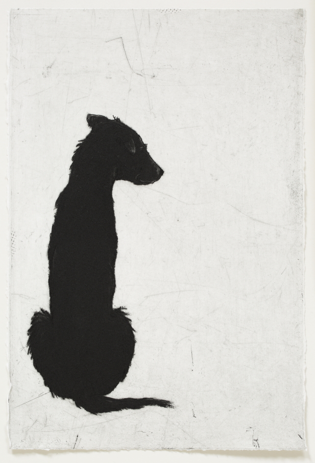 © 2016, Deborah Williams, Held its form, soft ground etching and roulette intaglio, 29.5 x 19.5 cm, edition of 20