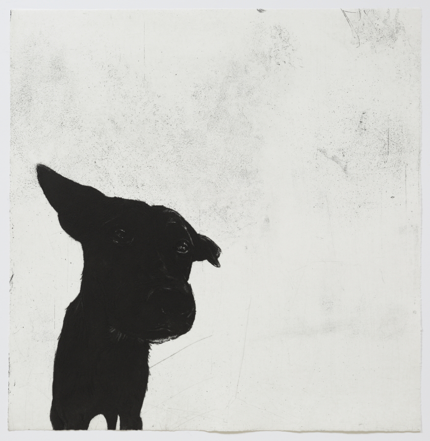 © 2016, Deborah Williams, Survey, etching, engraving, roulette and drypoint intaglio, 56.5 x 55 cm, edition of 20